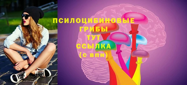 твердый Пролетарск