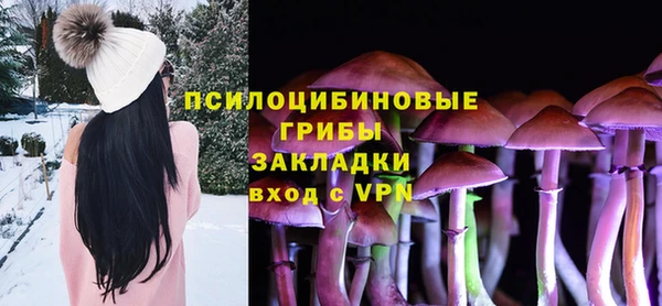 твердый Пролетарск