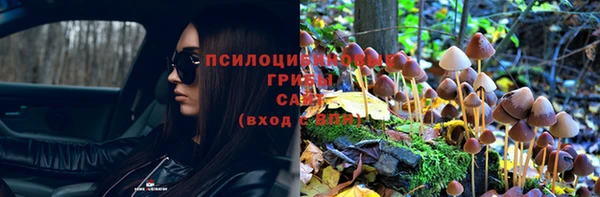 твердый Пролетарск