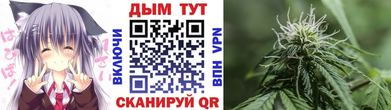 МАРИХУАНА план  Купить  Альметьевск 